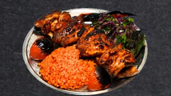 Chicken Wings Kebab